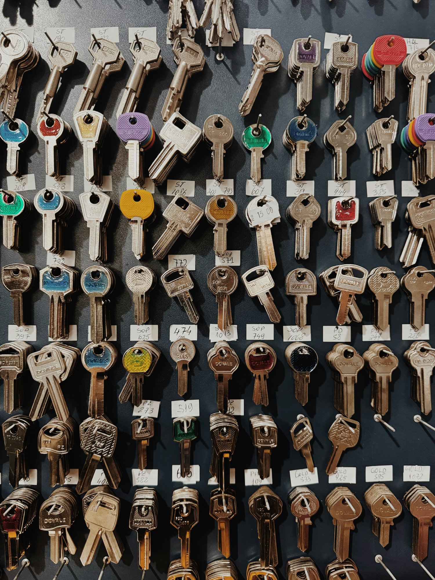andrei-castanha-Jy60hQjoFbc-unsplash